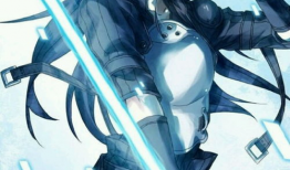 刀剑神域动漫图片,虚拟世界的奇幻冒险之旅